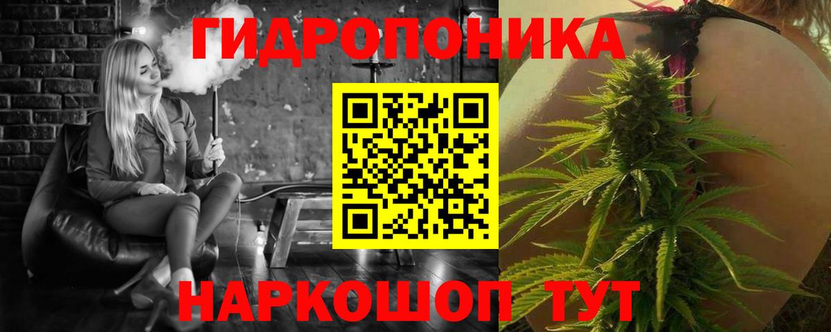 МАРИХУАНА сатива  Канабис марихуана  Вход с VPN  Канабис план  МАРИХУАНА Amnesia  Буйнакск 